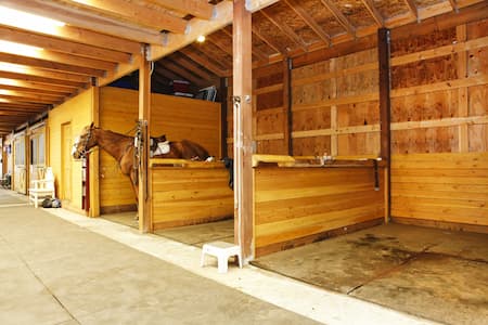 Smart Uses for a Pole Barn Beyond Traditional Storage Thumbnail